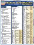Medical Terminology Basics